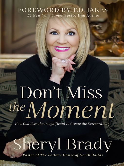 Title details for Don't Miss the Moment by Sheryl Brady - Available